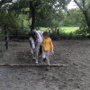Bodenarbeit