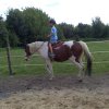 Reiten