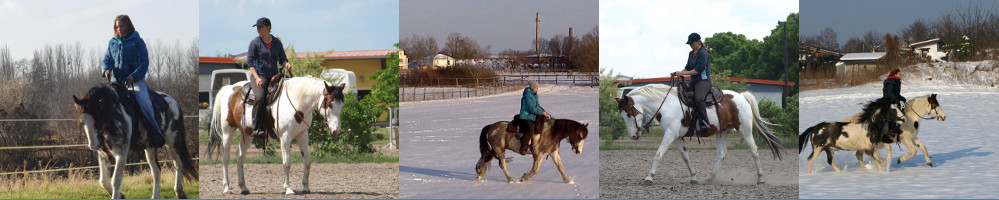 MobilerUnterricht Berrit